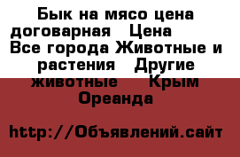 Бык на мясо цена договарная › Цена ­ 300 - Все города Животные и растения » Другие животные   . Крым,Ореанда